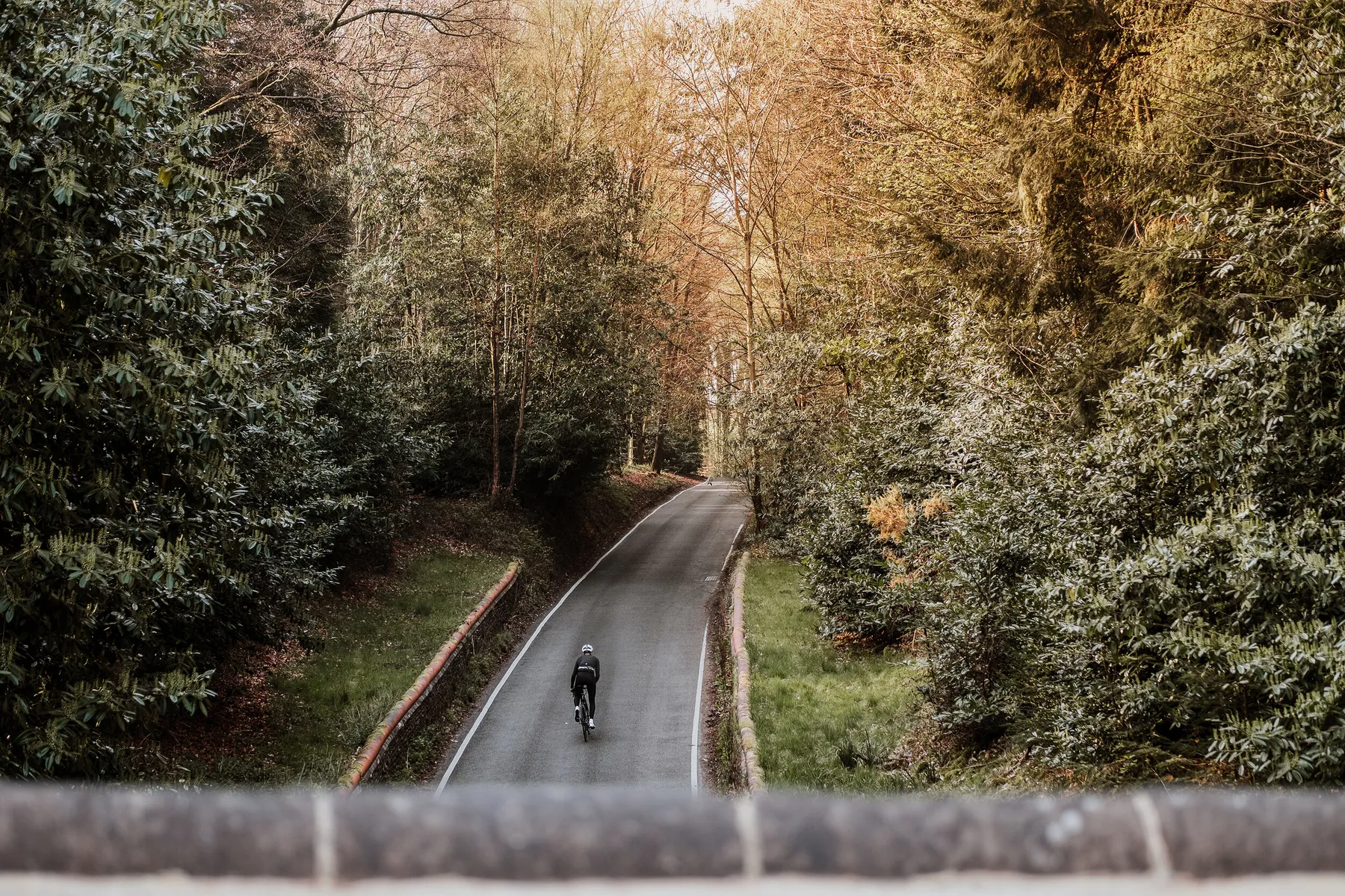 The Beauty of Hill Reps
