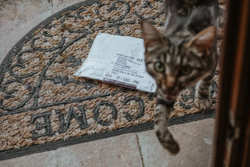 Tuscany Road Journal: Part Four — The Jiffy Bag Scandal